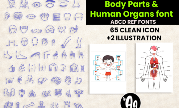 Abcd Ref Body Parts Organs Font Fonts Free Download Abcd Ref Body Parts Organs Font - Featured Image