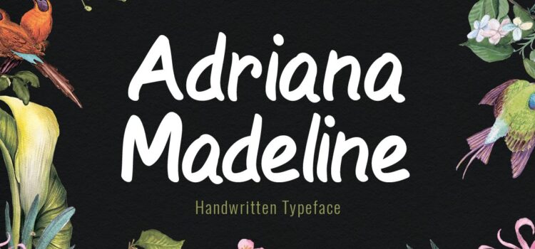 Adriana Madeline Font - Featured Image