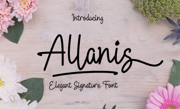 Allanis Font Fonts Free Download Allanis Font - Featured Image