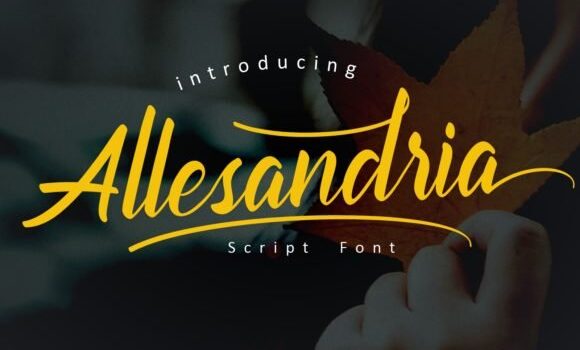 Allesandria Font - Featured Image