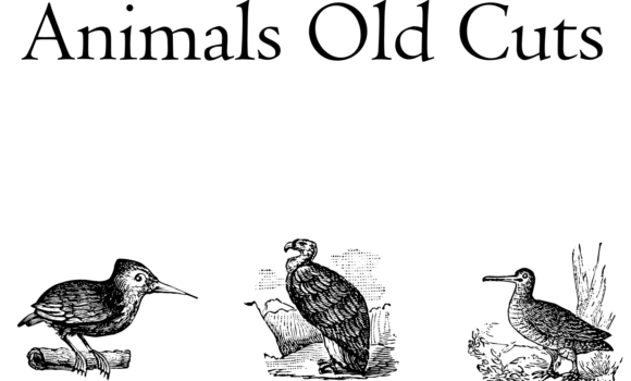 Animals Old Cuts Font - Featured Image