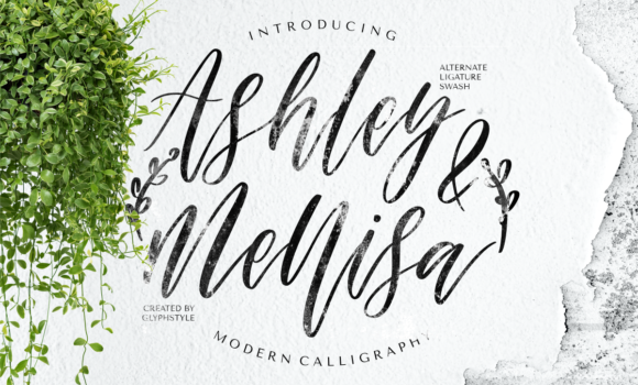 Ashley & Mellisa Font - Featured Image