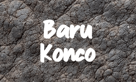Baru Konco Font Fonts Free Download Baru Konco Font - Featured Image