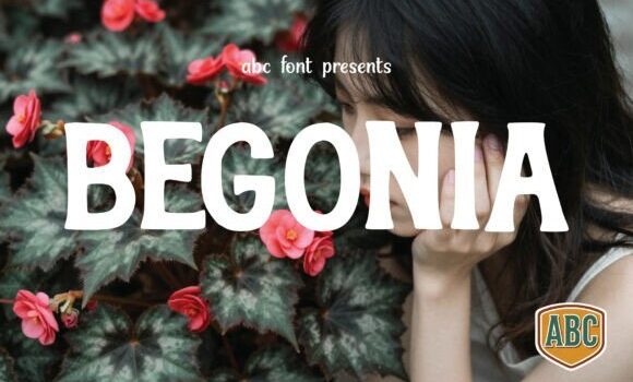 Begonia Font Fonts Free Download Begonia Font - Featured Image