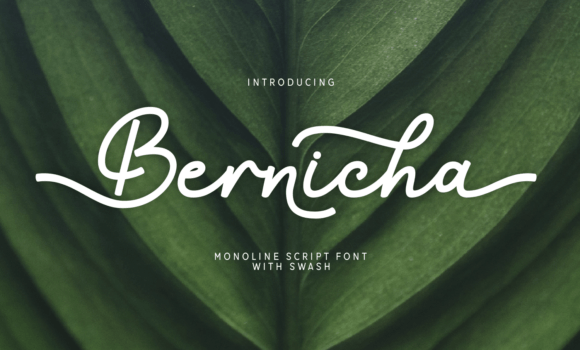 Bernicha Font - Featured Image