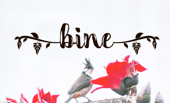 Bine Font Fonts Free Download Bine Font - Featured Image