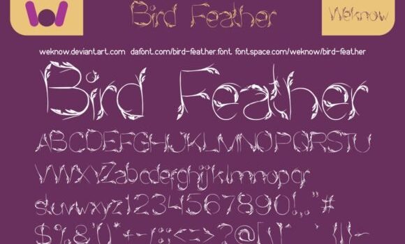 Bird Feather Font - Featured Image