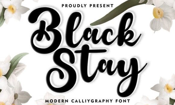 Black Stay Font Fonts Free Download Black Stay Font - Featured Image