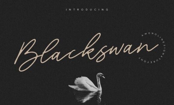 Blackswan Font - Featured Image