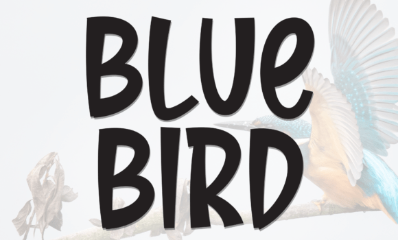 Blue Bird Font - Featured Image