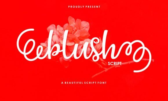 Blush Script Font - Featured Image