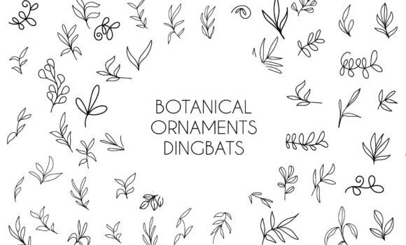 Botanical Ornaments Font Fonts Free Download Botanical Ornaments Font - Featured Image
