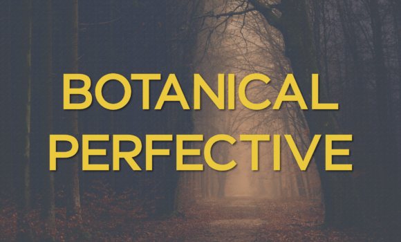 Botanical Perfective Font Fonts Free Download Botanical Perfective Font - Featured Image
