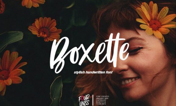 Boxette Font - Featured Image