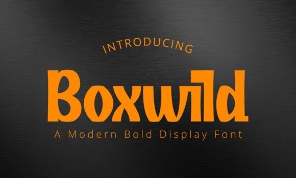 Boxwild Font - Featured Image