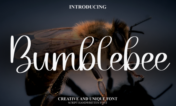 Bumblebee Font - Featured Image