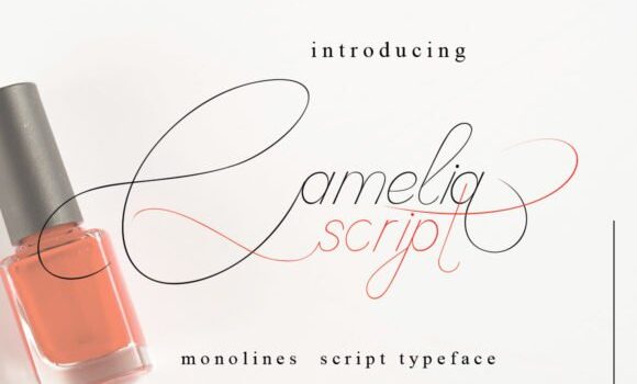 Camelia Script Font - Featured Image