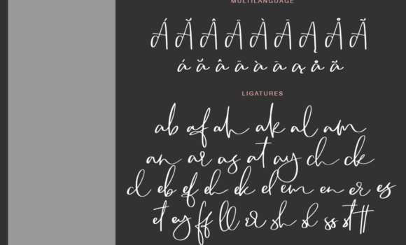 Camsay Font - Featured Image