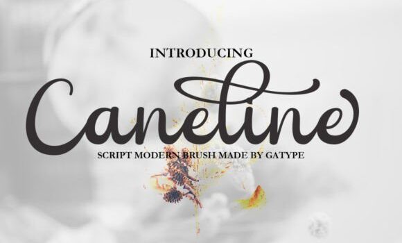 Caneline Font - Featured Image