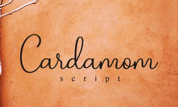 Cardamom Script Font - Featured Image