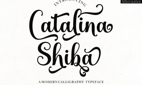Catalina Shiba Font - Featured Image