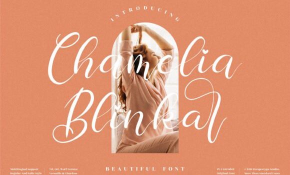 Chamelia Blinkar Font - Featured Image