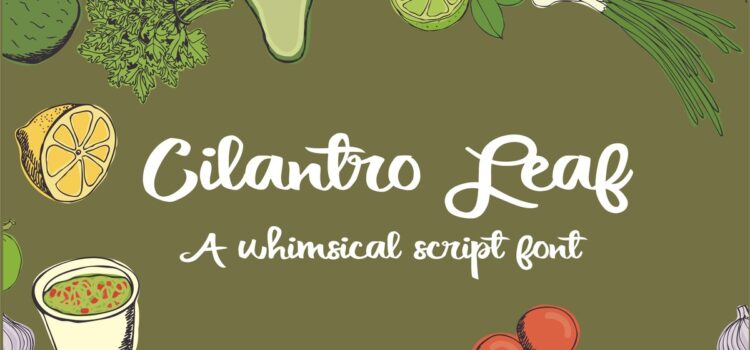 Cilantro Leaf Font - Featured Image