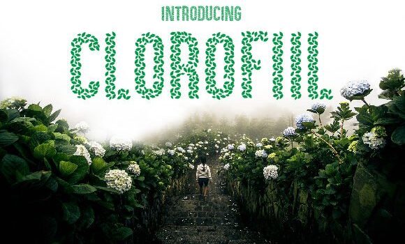 Clorofil Font - Featured Image