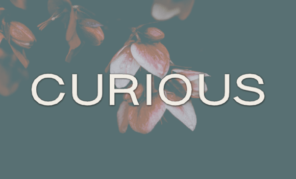 Curious Font Fonts Free Download Curious Font - Featured Image