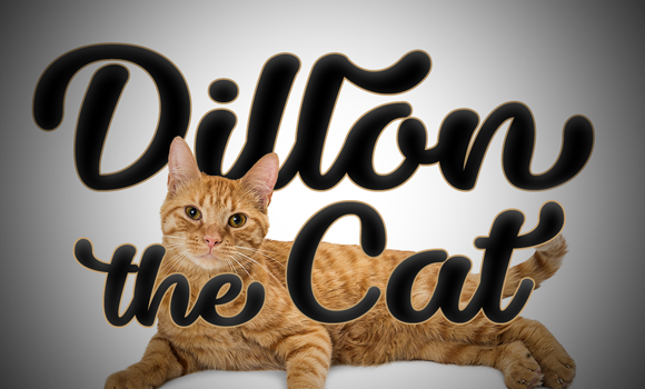 Dillon the Cat Font Fonts Free Download Dillon the Cat Font - Featured Image