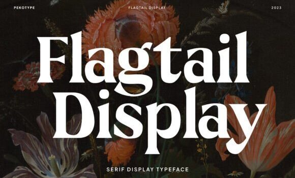 Flagtail Display Font Fonts Free Download Flagtail Display Font - Featured Image