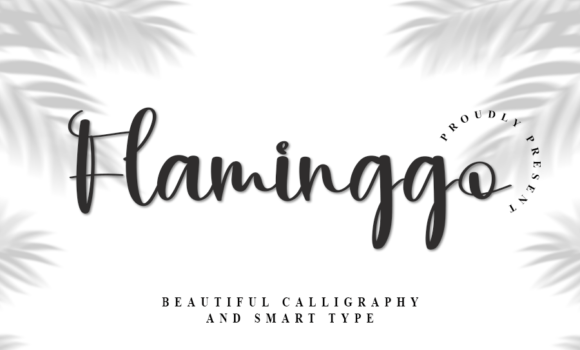Flaminggo Font - Featured Image