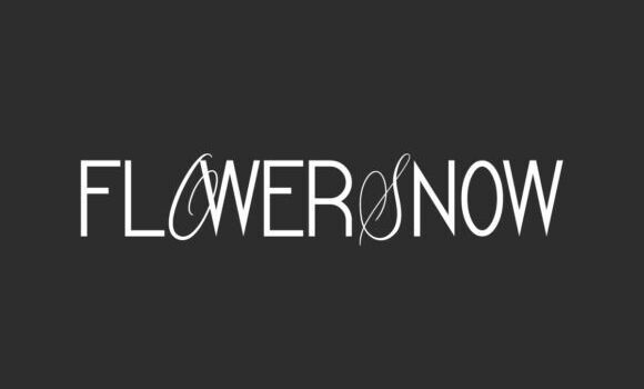 Flower Snow Font - Featured Image