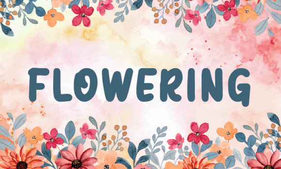 Flowering Font - Featured Image