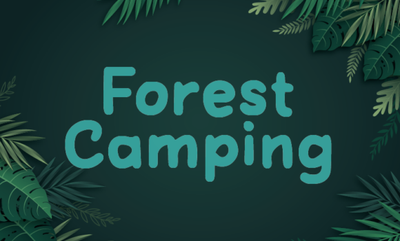 Forest Camping Font Fonts Free Download