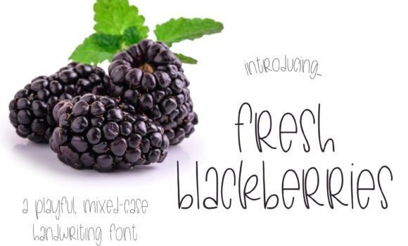 Fresh Blackberries Font - Featured Image