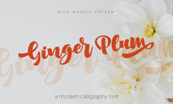Ginger Plum Font Fonts Free Download Ginger Plum Font - Featured Image
