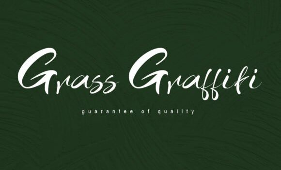 Grass Graffiti Font - Featured Image