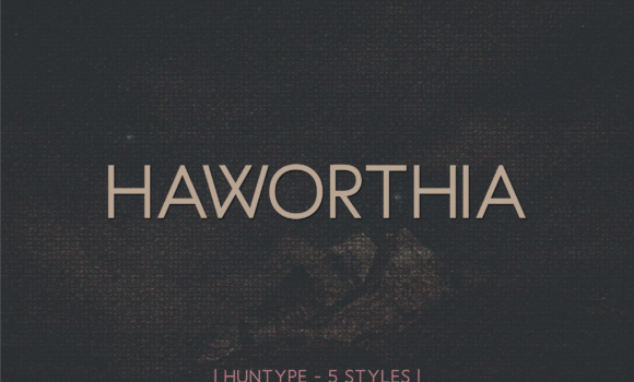 Haworthia Font - Featured Image