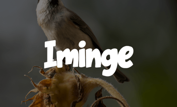 Iminge Font - Featured Image