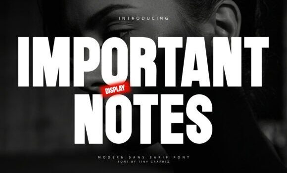 Important Notes Font - Featured Image