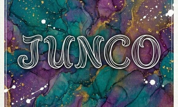 Junco Font Fonts Free Download Junco Font - Featured Image