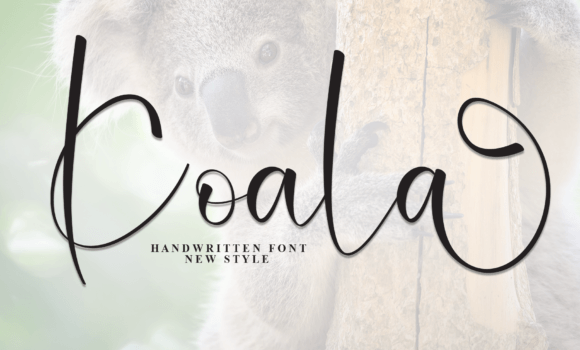 Koala Font - Featured Image