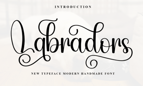 Labradors Font - Featured Image