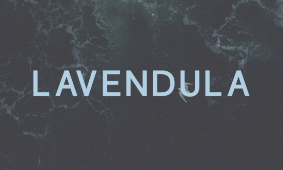 Lavendula Font - Featured Image