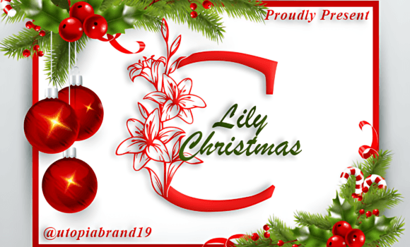 Lily Christmas Monogram Font - Featured Image