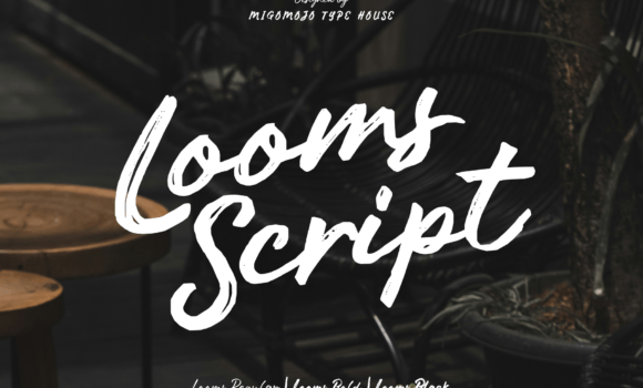 Looms Script Font - Featured Image