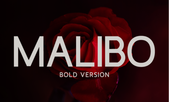 Malibo Bold Font - Featured Image