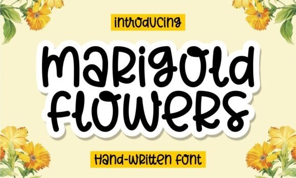 Marigold Flowers Font - Featured Image