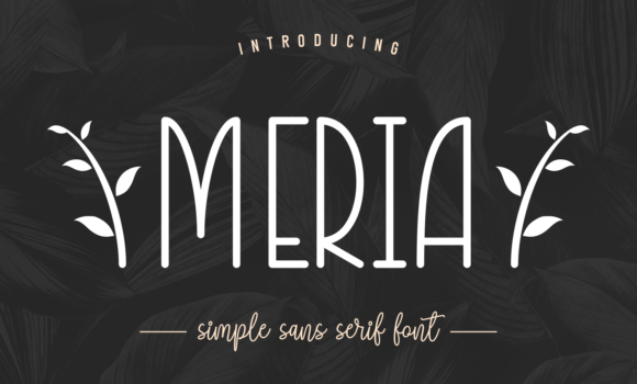 Meria Font - Featured Image